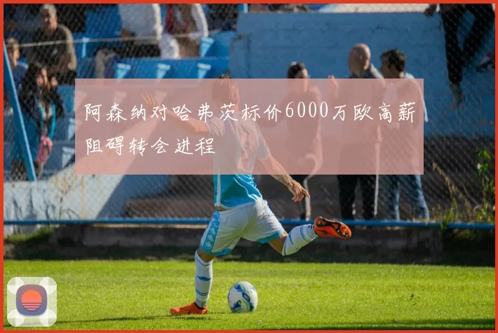 阿森纳对哈弗茨标价6000万欧高薪阻碍转会进程