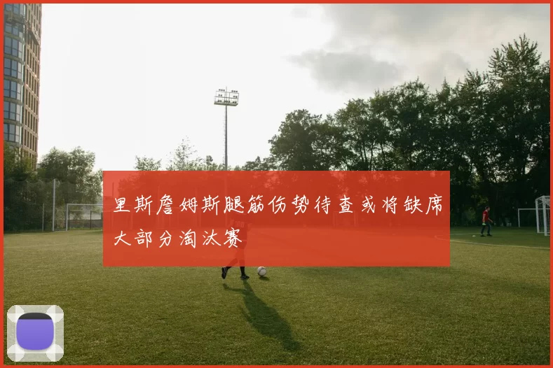 里斯詹姆斯腿筋伤势待查或将缺席大部分淘汰赛